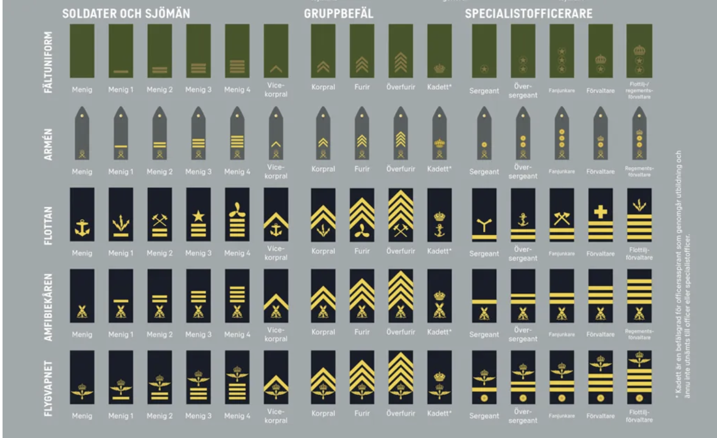 Gradbeteckningar för soldater och sjömän (menig till vicekorpral), gruppbefäl (korpral, furir, överfurir, kadett) och specialistofficerare (sergeant till regements- och flottiljförvaltare) på fältuniform och för armén, flottan, amfibiekåren och flygvapnet.