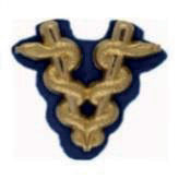 Veterinär m/60