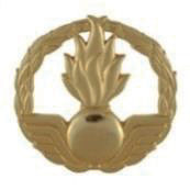 Baskertecken m/02 luftvärnsförband