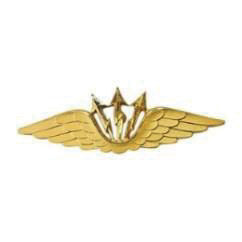 Flygsignalistmärke m/40