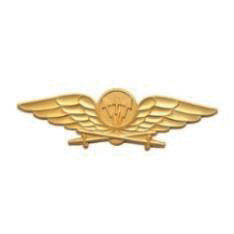 Flygtelekrig m/10