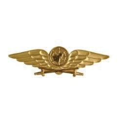 Flygstridsledning m/10