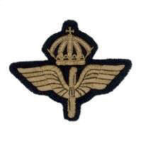 Flygemblem m/51 litet