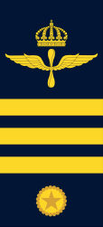 Förvaltare
