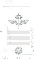 Axelklaffshylsa m/02 brodyr och galon förvaltare flygvapnet