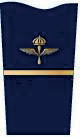 Fänrik