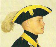 Hatt m/1860 med plym